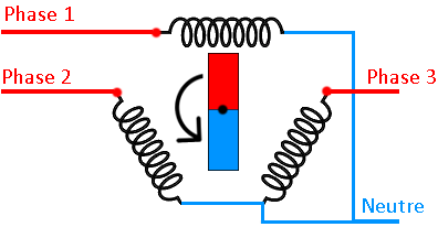 Phases et neutre